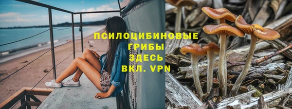 молекула духа Абдулино