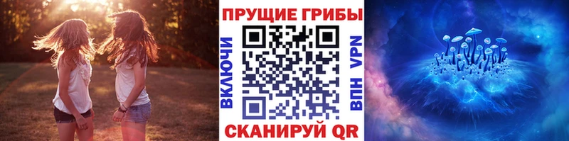 Галлюциногенные грибы Cubensis blacksprut зеркало Алексин